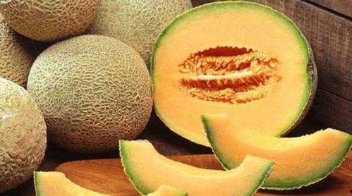 梦梦吃哈密瓜,梦梦的哈密瓜美食之旅