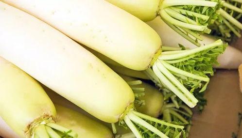 厦门象屿吃瓜,瓜果飘香，品味海岛风情