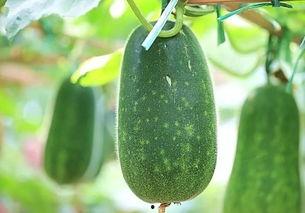 吃瓜中心吃最新最热的瓜,揭秘最新最热瓜料背后的真相