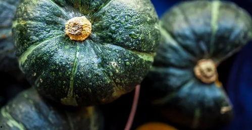 南瓜吃腾不吃瓜怎样,探寻“吃腾不吃瓜”的奇妙奥秘