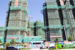 军师府邸吃瓜,揭秘古代智囊团的神秘吃瓜生活