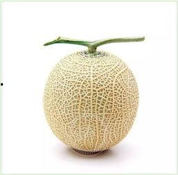 吃瓜群众头像多人,多人生动演绎吃瓜群众风采