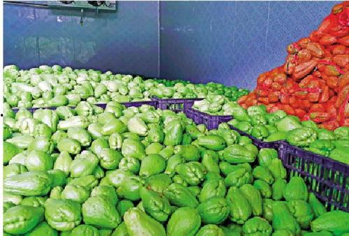 吃瓜菜得吃葱叶,吃瓜菜更香——探寻美食与葱叶的完美融合